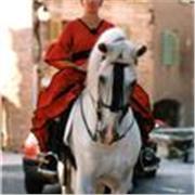 Langues anglaise et espagnol et français en soutien scolaire et aux adultes