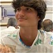 Studente al terzo anno di ingegneria informatica al politecnico di Torino offre ripetizioni di matematica.
