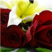 Iffat Masood