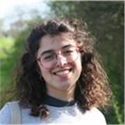 Ripetizioni inglese, francese, spagnolo/aiuto compiti per studenti elementari/medie/superiori