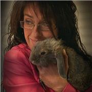 Clases particulates de inglés. Colegio. Instituto