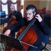 Profesor de violonchelo (cello) con más de 15 años de experiencia dando clases a adolescentes y adultos