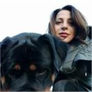 Appassionata di letteratura classica Latina e greca.
Preferisco fare lezione da vicino abito in provincia di Salerno