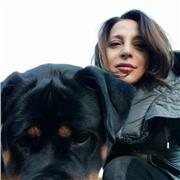 maturita classica ed impiegata contabile amministativa