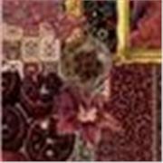 Prof d’anglais en licence de langues étrangères appliquée.