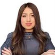 Online native speaker teacher based on conversational lessons