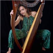 Maestro e insegnante di musica