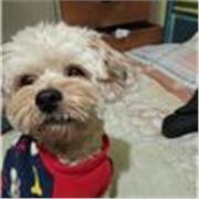 El profesor de Matemática ofrece clases de nivel universitario, preuniversitario y escolar secundario...en horarios online