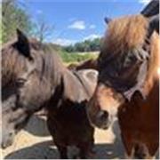 Ich biete Nachhilfe im Mathe Unterricht für die Klassen 1 bis 10