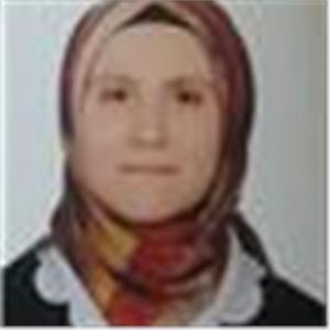 Fatma Nur Subasi