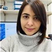 Cambridge-based scientist offering biology and research mentoring to students and professionals online. 