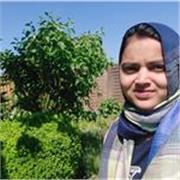 English tutor who teaches English of all ages