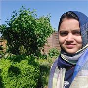 English tutor who teaches English of all ages