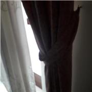 Insegnante di scuola primaria