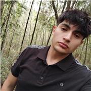 CLASES DE INGLES A VALDIVIA Y ALREDEDORES