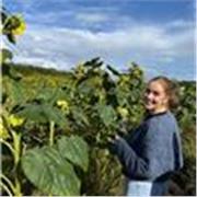 Experienced Primary School Teacher - Specialising in English