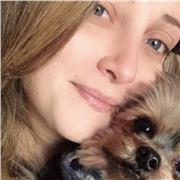 Aulas particulares de italiano para adultos e crianças. 
Possuo uma metodologia própria, dinâmica e muito eficaz