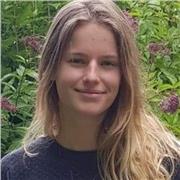 Soutien Scolaire (Collège, Lycée), aide aux devoirs en biologie, anglais, physique-chimie ou mathématiques