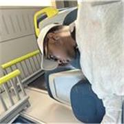 Docente certificato Cambridge offre preparazione completa al CAE C1 online”