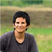 Geschichtsbegeisterte fast Studentin ( von Geschichte natürlich ) kann helfen