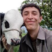 Clases de Artes plásticas, para niños, adolescentes y adultos