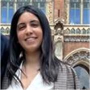 Profesor de Matemáticas y otras ciencias para primaria y secundaria.