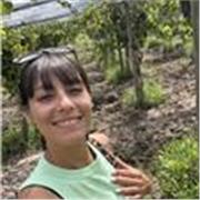 Profesora de español latinoamericana, ayudo a niños y grandes a preparar estudios en lenguaje español