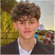 Estudiante universitario con título B2 de Inglés por la EOI de Torrent y cursando el C1. Doy clases de inglés y refuerzo escolar.