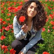 Lezioni private greco latino italiano