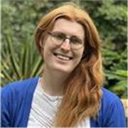 A-Level Politics Teacher - experienced & qualified *online only