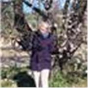 Professora de pintyra apta para todo tipo de clases y alumnado