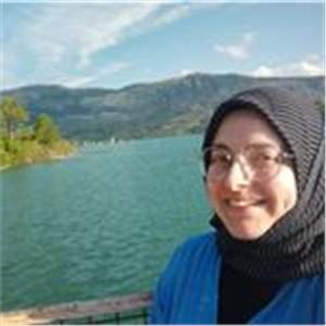 Reyhan Tilki