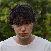 Ragazzo al primo anno di ingegneria gestionale, cerco alunni di scuole medie a cui dare ripetizioni in qualsiasi materia