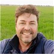 Profesor nativo - clases online, de Ingles, ToK, EE y MYP/IB Historia