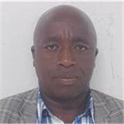 Experienced Math and English tutor available for personalized online lessons.