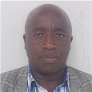 Experienced Math and English tutor available for personalized online lessons.