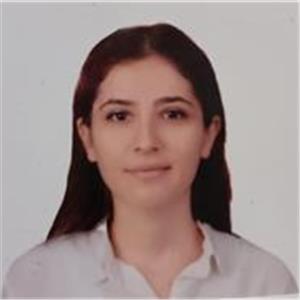 Ayse Özyigit