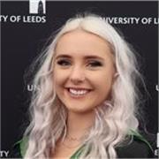I give affordable English lessons to people at A-level or GCSE level