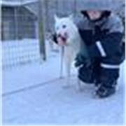 Responsable, adaptable; clases a bachillerato tecnológico, ESO, primaria