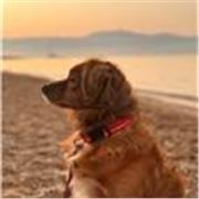 Aide au devoir pour tous ce qui concerne l’anglais