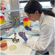 Studentessa universitaria di biologia molecolare con diploma al liceo scientifico dà lezioni di matematica, fisica, chimica e info