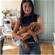 Native tutor with over 3 years of experience tutoring English and Maths from reception to GCSE.  