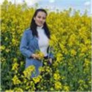I am with strong background in teaching and I can teach according to the level and aim of students.