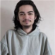 Professeur de cours d'informatique/bureautique jusqu'au niveau BTS