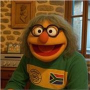 Enseignement du français, de l'anglais et remise à niveau en orthographe