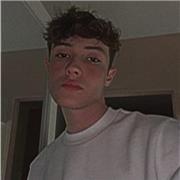 Cours de soutien scolaire pour collégiens, cours d’anglais, de français