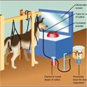 Ripetizioni o approfondimenti per (quasi) tutte le materie