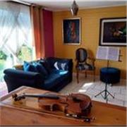 Imparto clases de violin presencial en Santiago plaza Italia