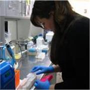 Clases personalizadas de Química y Biología | Tutorías teóricas y de laboratorio en áreas afines a la Bioquímica