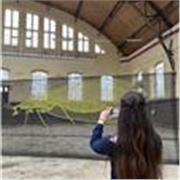 Ciao! Sono Giulia e frequento l'ultimo anno di liceo economico sociale, offro lezioni di matematica e fisica e aiuto compiti